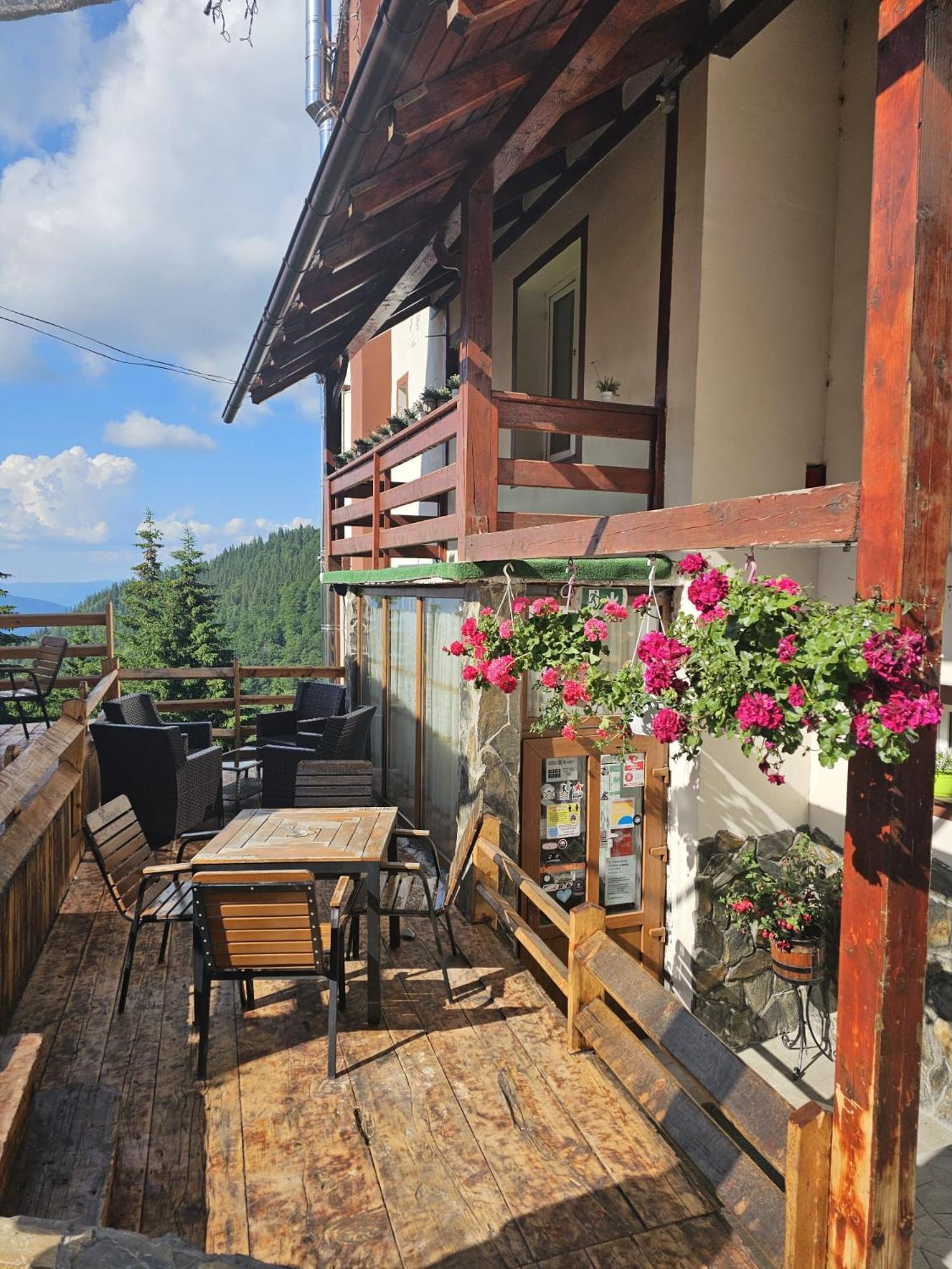 Cabana Edelweiss Lupeni (Hunedoara) Exterior foto